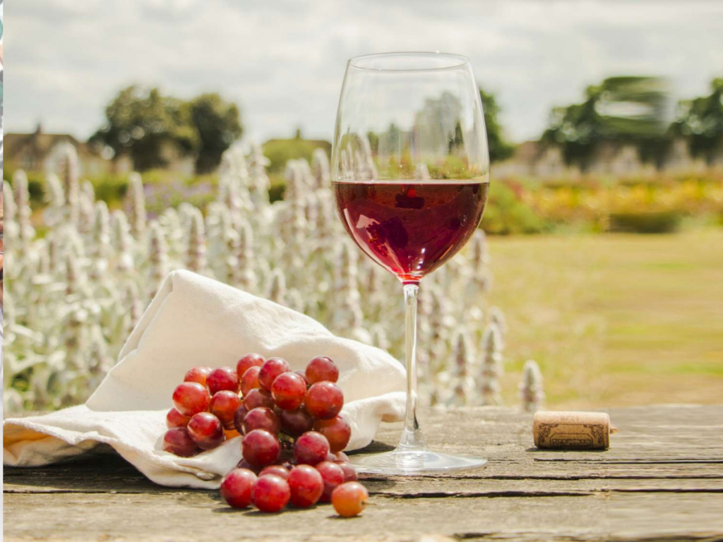 7 Interesting Benefits Of Drinking Red Wine You Should Know