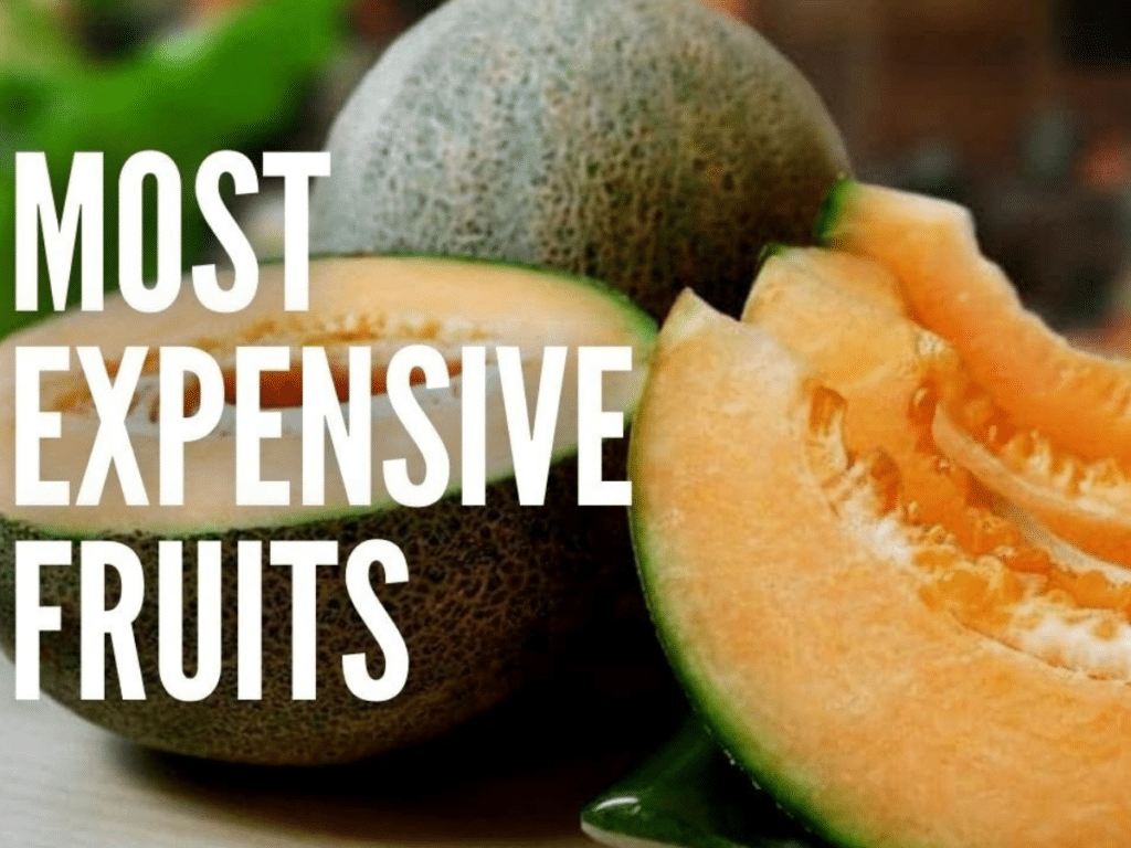 Most Expensive Fruits in India