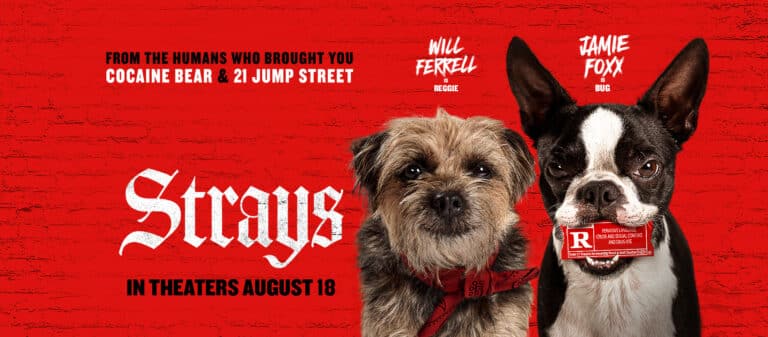Strays Release Date 2023, Voice Cast, Story, Teaser, Trailer and More