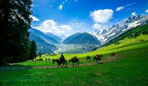 Honeymoon Destinations in India for nature lovers