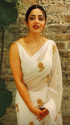 Neha Pendse Hot Photos & Sexy Pics You Need to See Once