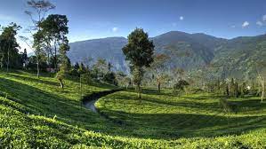 Darjeeling