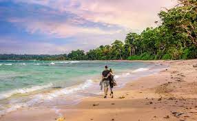 Top 7 Best Honeymoon Places in India You Must Visit