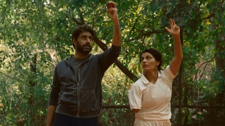 Ghoomer Box Office Collection Day 3 and Budget