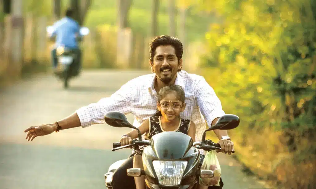 Chithha Siddharth Movie Budget and Box Office Collection Prediction