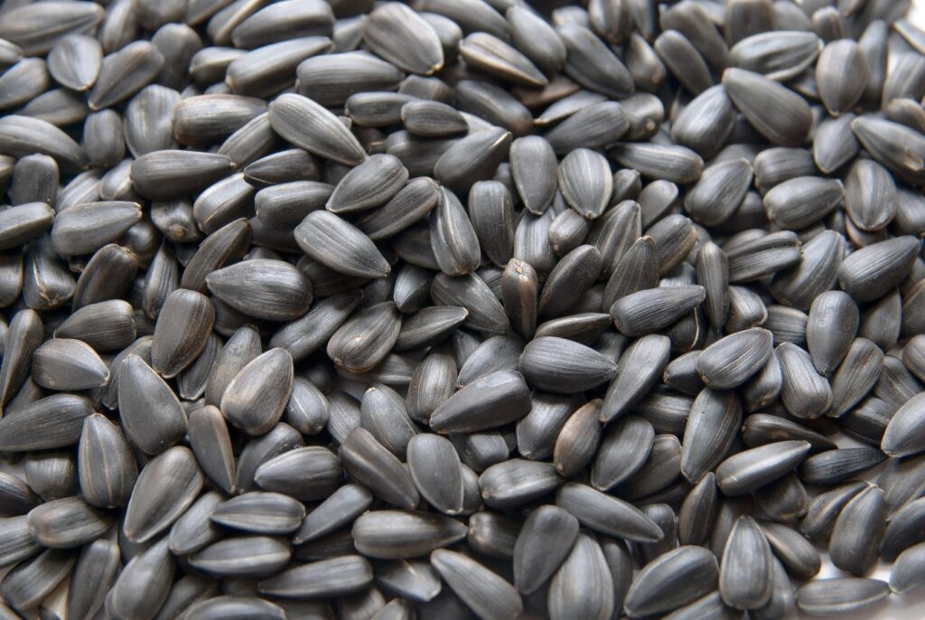 6 Best Natural Seeds to Help Control the Blood Sugar Levels