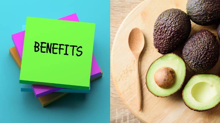 7 Major Reasons Why You Should Eat 1 Avocado Every Day