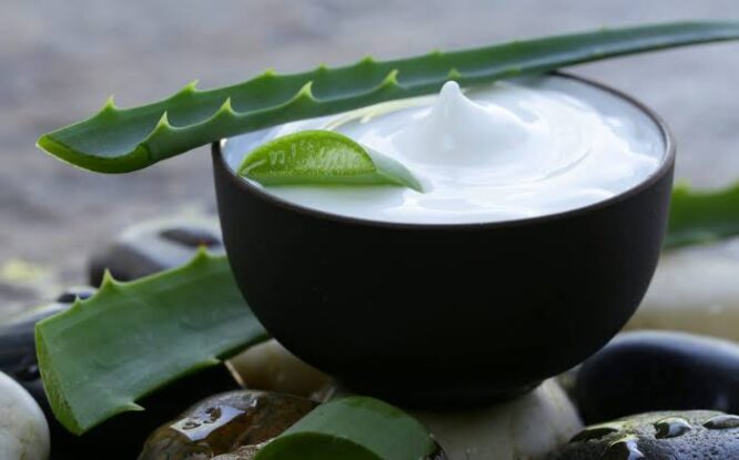 Skin Rashes & Sunburns in Summer- This Ayurvedic Tip will Quickly Relieve Your Skin Problems