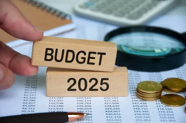 Budget 2025: Will the Government Make Income Up to Rs 10 Lakh Tax-Free? Know What the Numbers Say