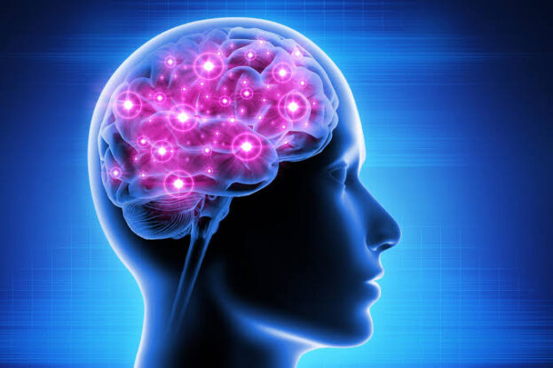 What Happens If You Don't Use Your Phone for Three Days? Shocking Findings from a Brain Study