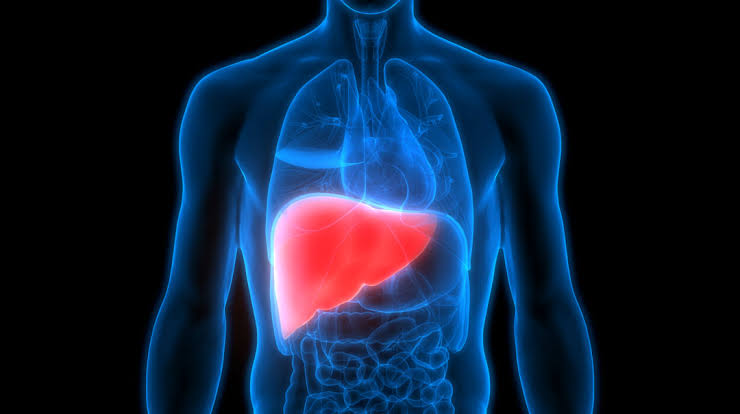 Is Your Liver in Trouble? 7 Warning Signs You Should Never Ignore