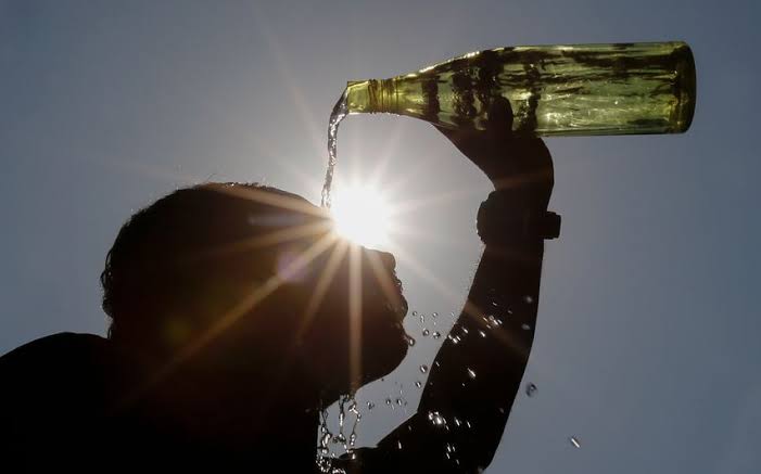 Does Your Body Overheat in Summer? Add These Foods to Your Diet Now
