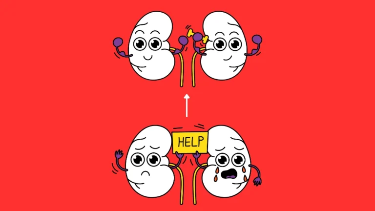 Can kidney damage repair
