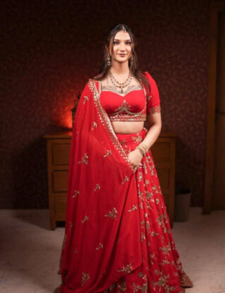 Anaya Bangar hot look in saree