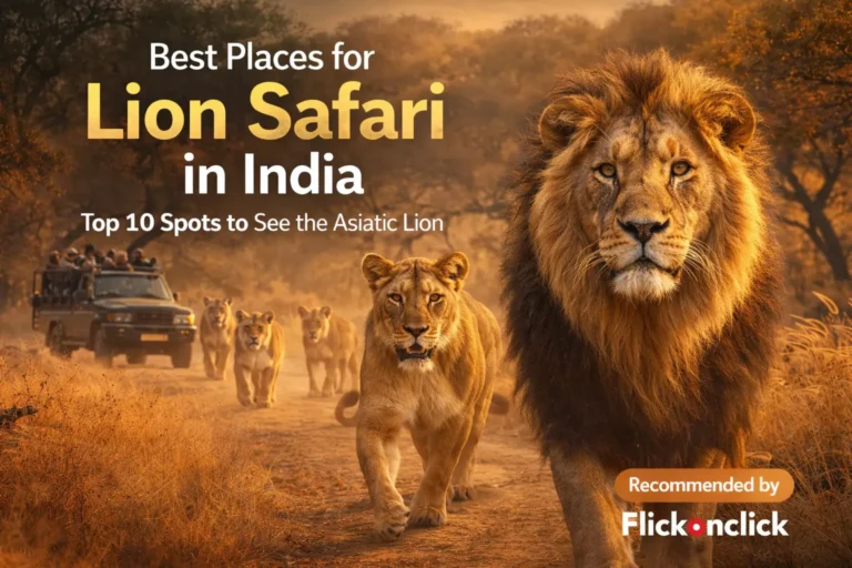 10 Best Places for Lion Safari in India
