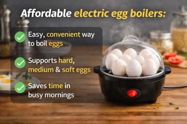 Affordable best electric egg boilers to buy in India