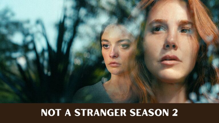 Not a Stranger Season 2: Will the Netflix Thriller Return for Another Season? Not a Stranger Season 2